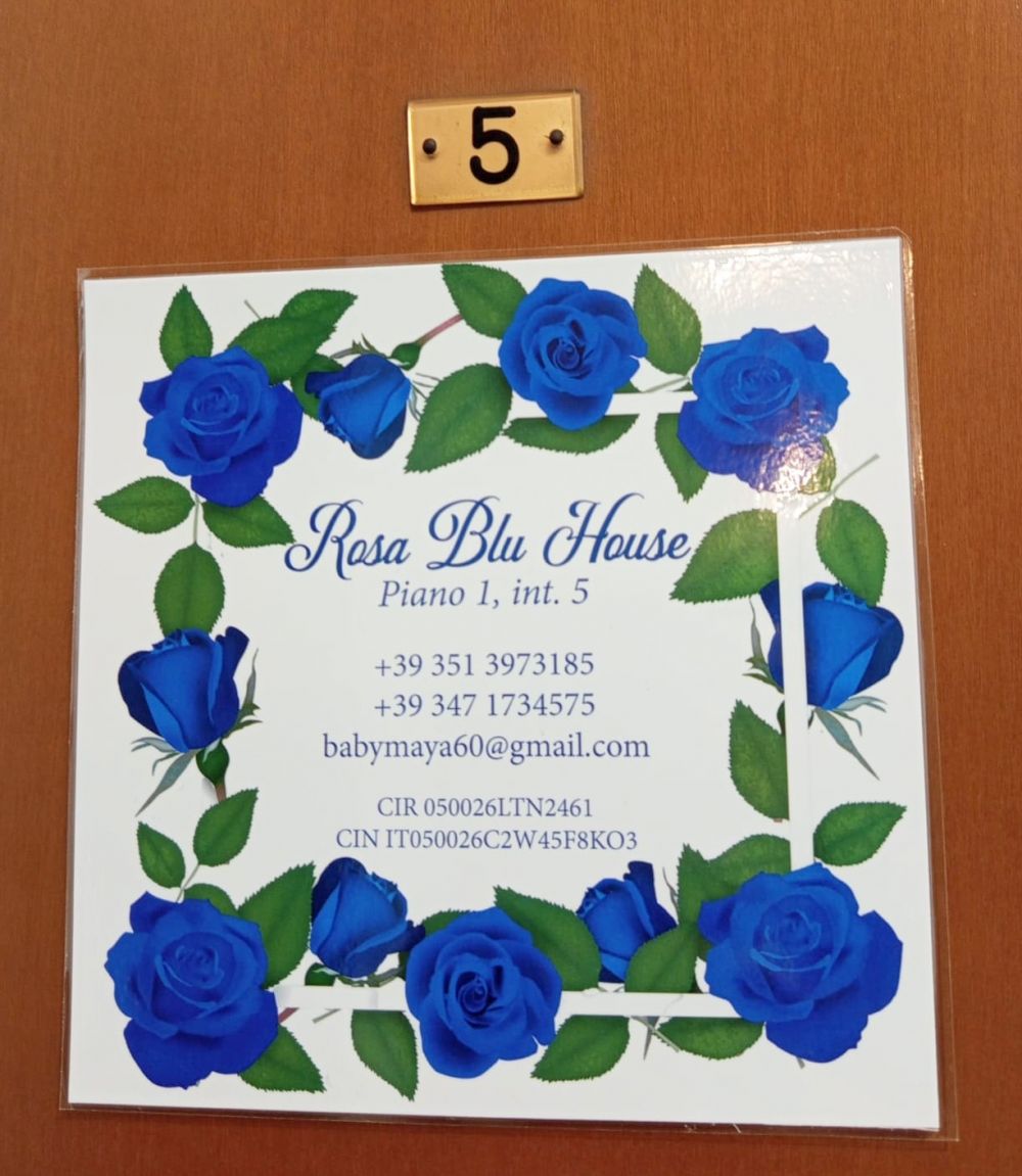 Rosa Blu House Appartamento Ospedale Cisanello Logo